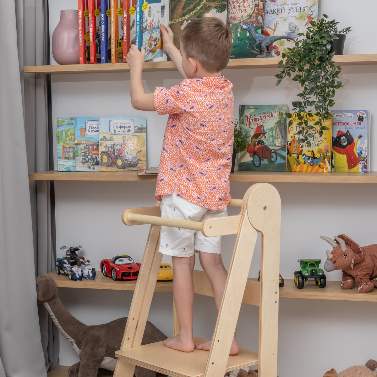 Reaching Books & Toys